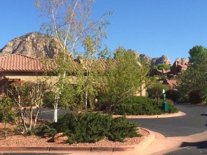 but here's a picture anyway